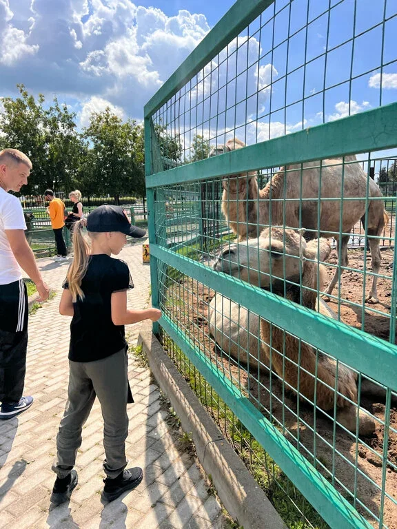 Фото Контактный зоопарк Национального конного парка «Русь» - развлечение в Москве | Досугатор